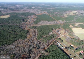 SLAGLES LAKE ROAD (TRACT: CHESAPEAKE GEORGE RAE), EMPORIA, Virginia 23847, ,Farm,For Sale,SLAGLES LAKE ROAD (TRACT: CHESAPEAKE GEORGE RAE),VAGE2000022 MLS # VAGE2000022