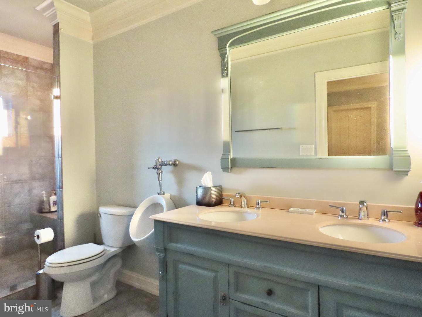 65 CLARK LN, WASHINGTON, Virginia 22747, 7 Bedrooms Bedrooms, ,10 BathroomsBathrooms,Residential,For Sale,65 CLARK LN,VARP2002418 MLS # VARP2002418 65 CLARK LN, WASHINGTON, Virginia 22747, 7 Bedrooms Bedrooms, ,10 BathroomsBathrooms,Residential,For Sale,65 CLARK LN,VARP2002418 MLS # VARP2002418