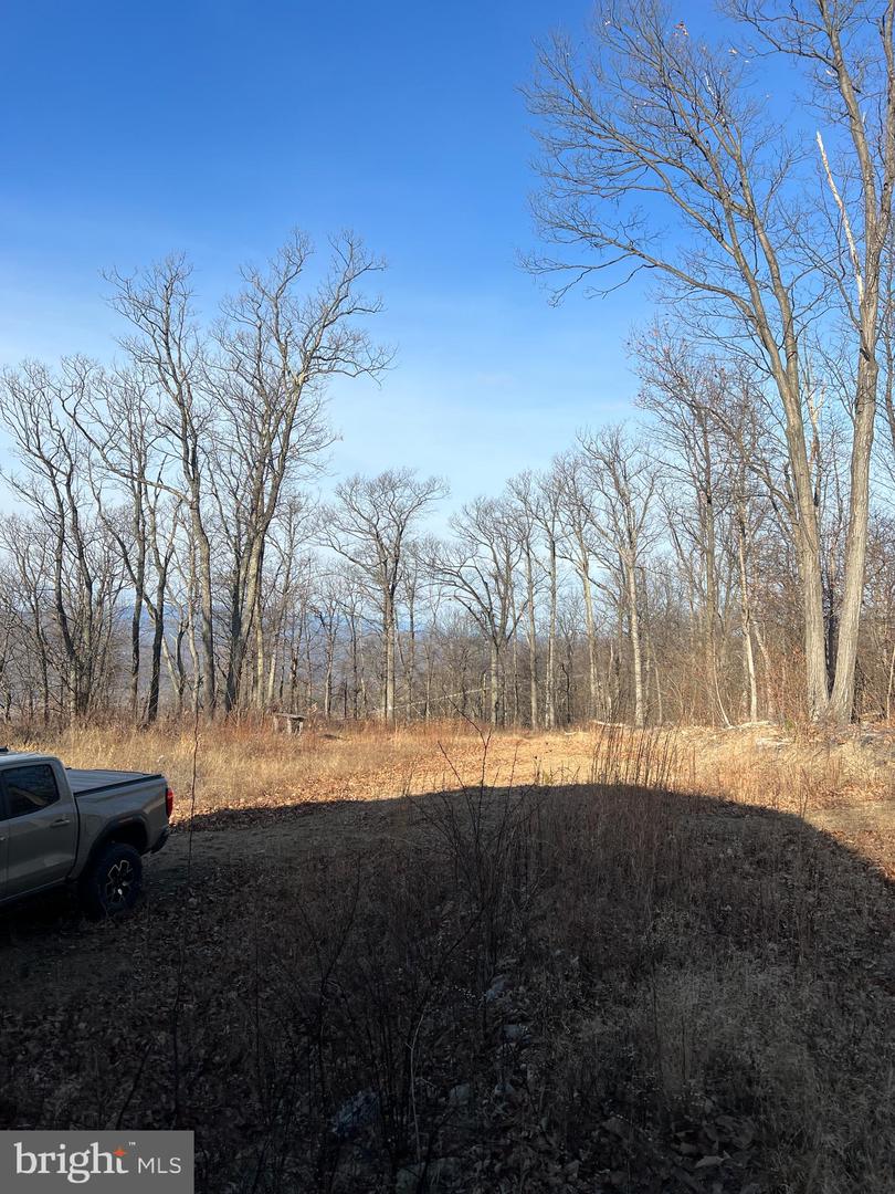 92 BOBCAT TRAIL, WINCHESTER, Virginia 22602, ,Farm,For Sale,92 BOBCAT TRAIL,VAFV2038326 MLS # VAFV2038326