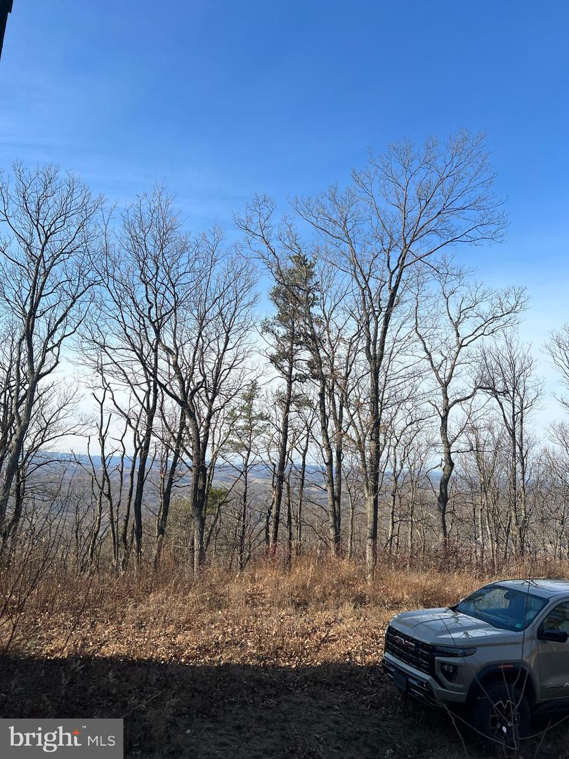 92 BOBCAT TRAIL, WINCHESTER, Virginia 22602, ,Farm,For Sale,92 BOBCAT TRAIL,VAFV2038326 MLS # VAFV2038326