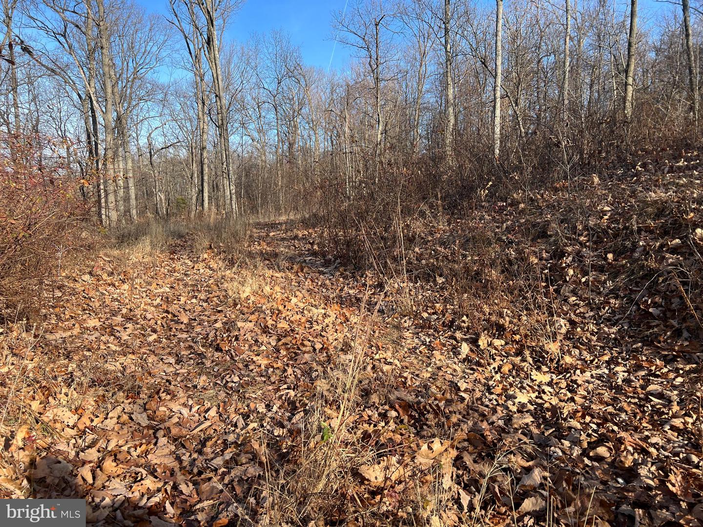 92 BOBCAT TRAIL, WINCHESTER, Virginia 22602, ,Farm,For Sale,92 BOBCAT TRAIL,VAFV2038326 MLS # VAFV2038326