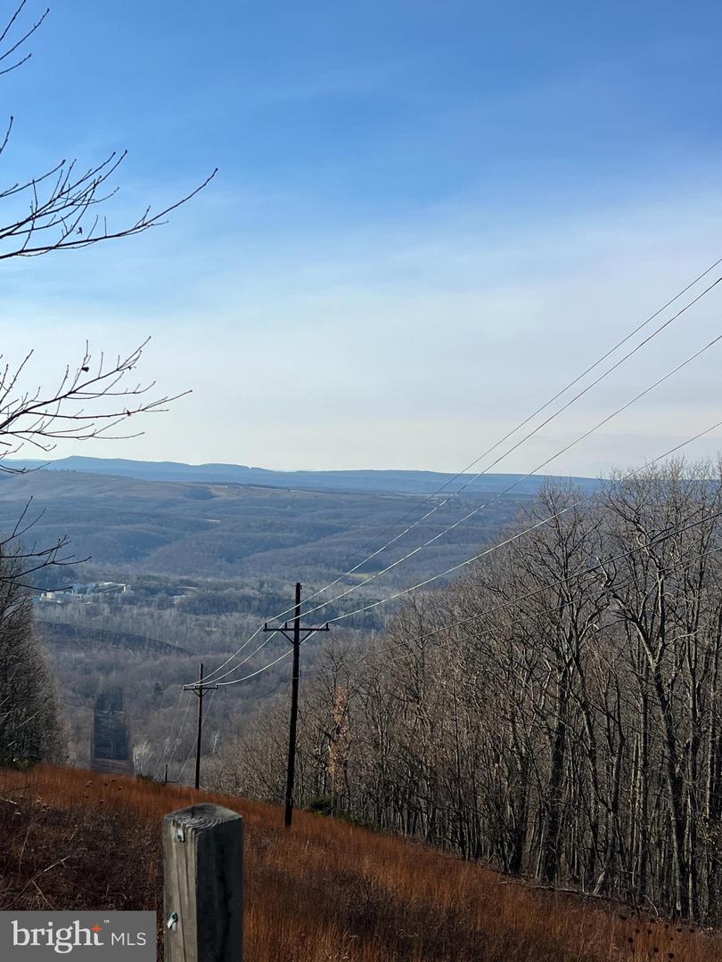 92 BOBCAT TRAIL, WINCHESTER, Virginia 22602, ,Farm,For Sale,92 BOBCAT TRAIL,VAFV2038326 MLS # VAFV2038326