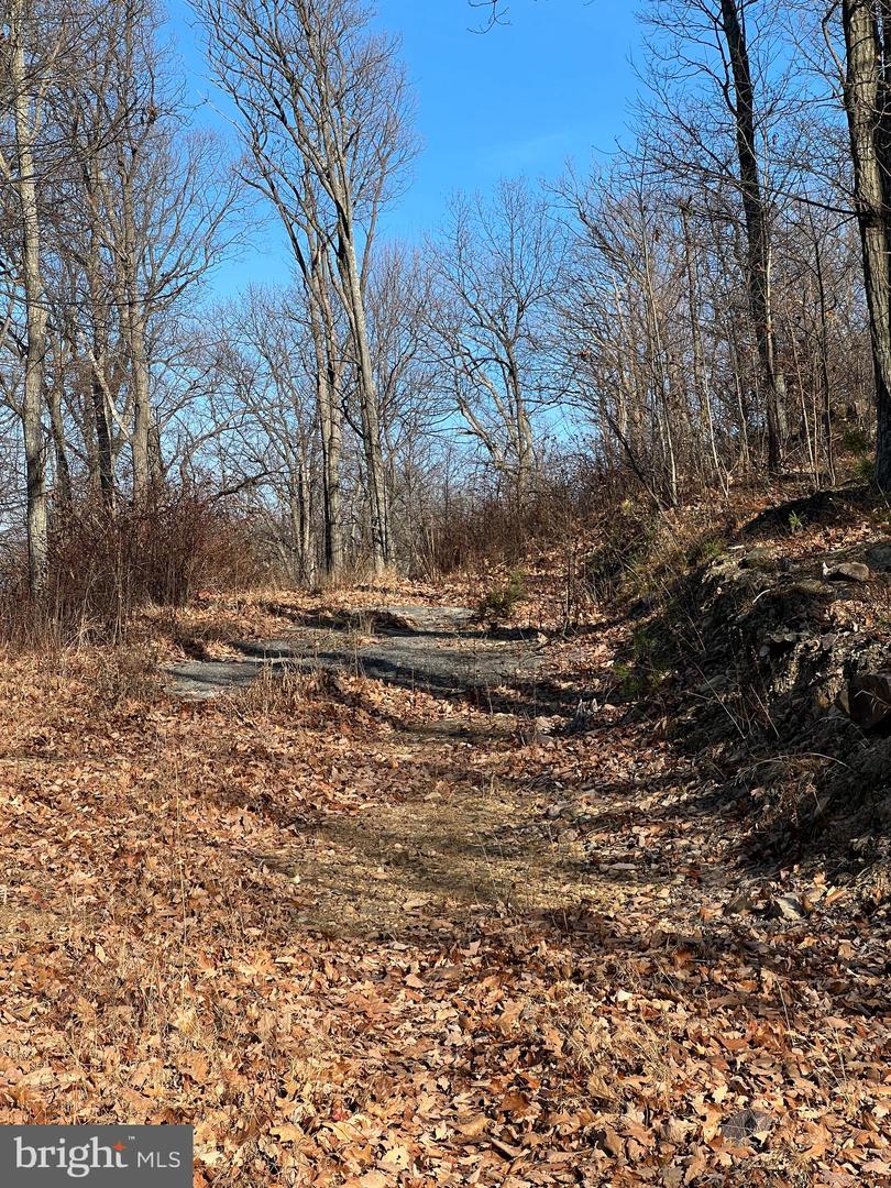 92 BOBCAT TRAIL, WINCHESTER, Virginia 22602, ,Farm,For Sale,92 BOBCAT TRAIL,VAFV2038326 MLS # VAFV2038326