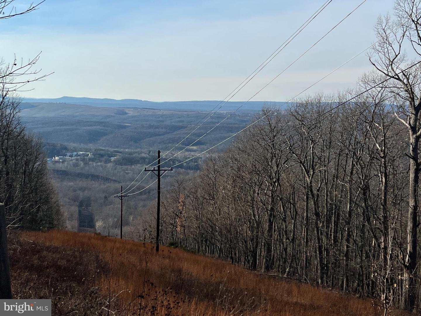 92 BOBCAT TRAIL, WINCHESTER, Virginia 22602, ,Farm,For Sale,92 BOBCAT TRAIL,VAFV2038326 MLS # VAFV2038326