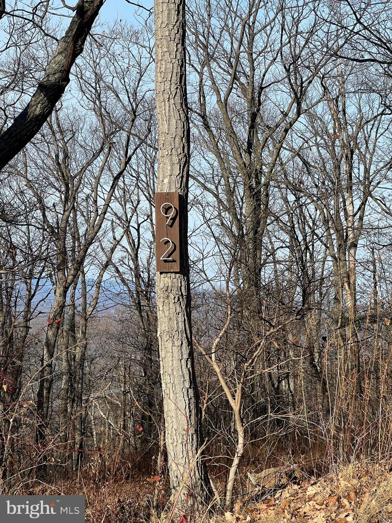 92 BOBCAT TRAIL, WINCHESTER, Virginia 22602, ,Farm,For Sale,92 BOBCAT TRAIL,VAFV2038326 MLS # VAFV2038326