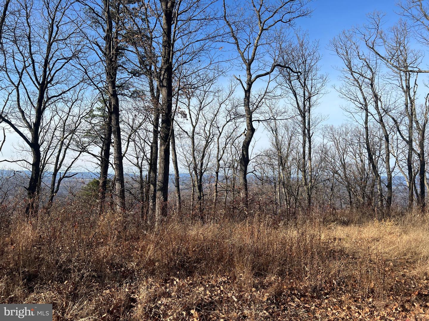 92 BOBCAT TRAIL, WINCHESTER, Virginia 22602, ,Farm,For Sale,92 BOBCAT TRAIL,VAFV2038326 MLS # VAFV2038326