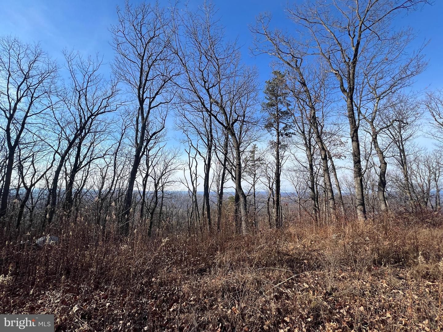 92 BOBCAT TRAIL, WINCHESTER, Virginia 22602, ,Farm,For Sale,92 BOBCAT TRAIL,VAFV2038326 MLS # VAFV2038326