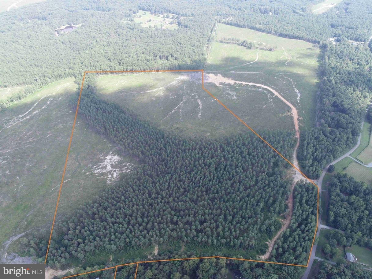 DOGWOOD DRIVE (TRACT: JR BEDFORD-BOWLES_SIMS-3), COLUMBIA, Virginia 23038, ,Farm,For Sale,DOGWOOD DRIVE (TRACT: JR BEDFORD-BOWLES_SIMS-3),VAFN2000524 MLS # VAFN2000524 DOGWOOD DRIVE (TRACT: JR BEDFORD-BOWLES_SIMS-3), COLUMBIA, Virginia 23038, ,Farm,For Sale,DOGWOOD DRIVE (TRACT: JR BEDFORD-BOWLES_SIMS-3),VAFN2000524 MLS # VAFN2000524