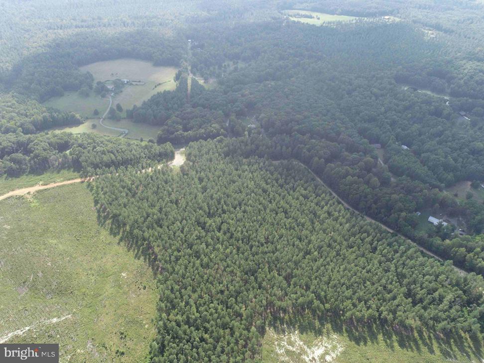 DOGWOOD DRIVE (TRACT: JR BEDFORD-BOWLES_SIMS-3), COLUMBIA, Virginia 23038, ,Farm,For Sale,DOGWOOD DRIVE (TRACT: JR BEDFORD-BOWLES_SIMS-3),VAFN2000524 MLS # VAFN2000524 DOGWOOD DRIVE (TRACT: JR BEDFORD-BOWLES_SIMS-3), COLUMBIA, Virginia 23038, ,Farm,For Sale,DOGWOOD DRIVE (TRACT: JR BEDFORD-BOWLES_SIMS-3),VAFN2000524 MLS # VAFN2000524