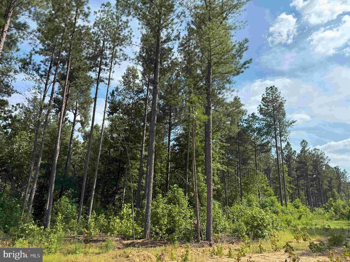 DOGWOOD DRIVE (TRACT: JR BEDFORD-BOWLES_SIMS-3), COLUMBIA, Virginia 23038, ,Farm,For Sale,DOGWOOD DRIVE (TRACT: JR BEDFORD-BOWLES_SIMS-3),VAFN2000524 MLS # VAFN2000524 DOGWOOD DRIVE (TRACT: JR BEDFORD-BOWLES_SIMS-3), COLUMBIA, Virginia 23038, ,Farm,For Sale,DOGWOOD DRIVE (TRACT: JR BEDFORD-BOWLES_SIMS-3),VAFN2000524 MLS # VAFN2000524