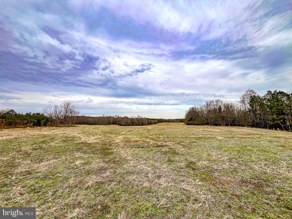 53.778 ACRES KIDDS FORK RD, MILFORD, Virginia 22514, ,Farm,For Sale,53.778 ACRES KIDDS FORK RD,VACV2009258 MLS # VACV2009258