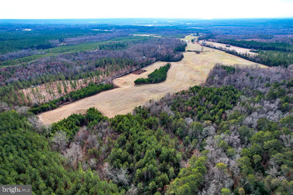 53.778 ACRES KIDDS FORK RD, MILFORD, Virginia 22514, ,Farm,For Sale,53.778 ACRES KIDDS FORK RD,VACV2009258 MLS # VACV2009258