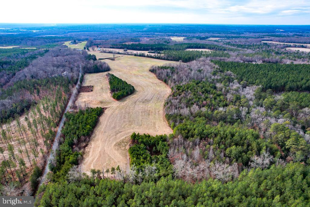 53.778 ACRES KIDDS FORK RD, MILFORD, Virginia 22514, ,Farm,For Sale,53.778 ACRES KIDDS FORK RD,VACV2009258 MLS # VACV2009258