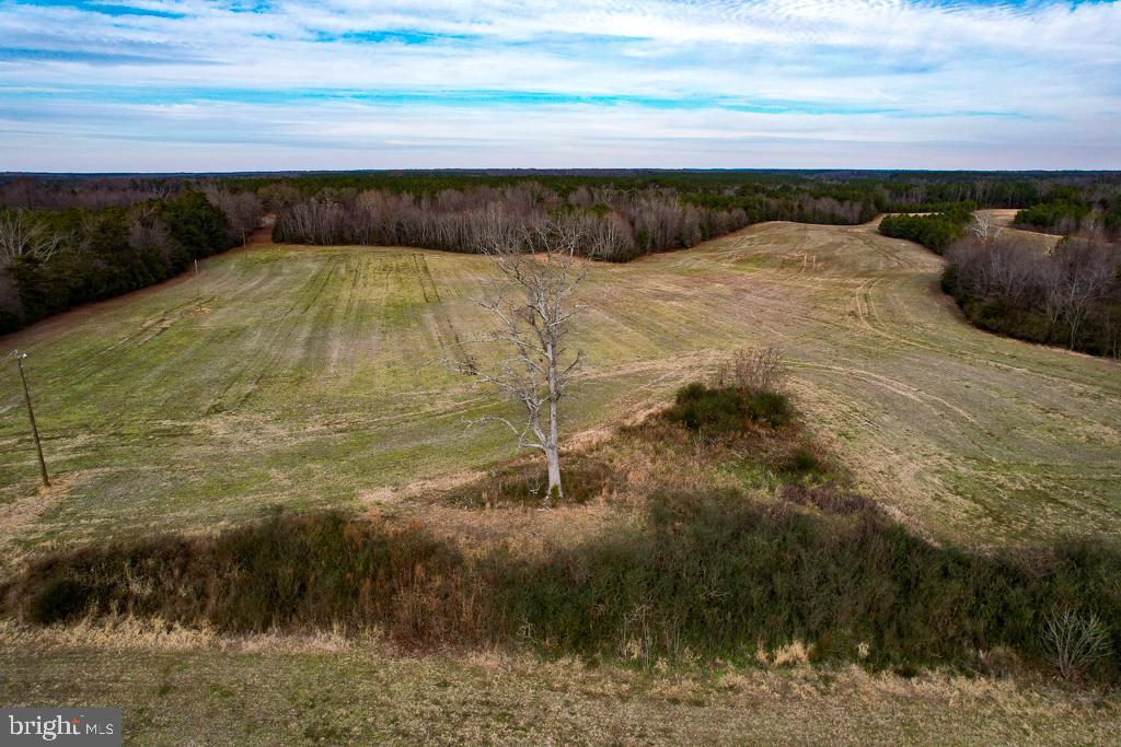 53.778 ACRES KIDDS FORK RD, MILFORD, Virginia 22514, ,Farm,For Sale,53.778 ACRES KIDDS FORK RD,VACV2009258 MLS # VACV2009258