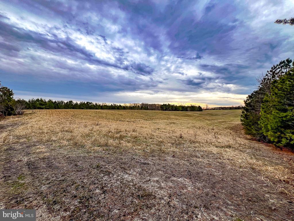 53.778 ACRES KIDDS FORK RD, MILFORD, Virginia 22514, ,Farm,For Sale,53.778 ACRES KIDDS FORK RD,VACV2009258 MLS # VACV2009258