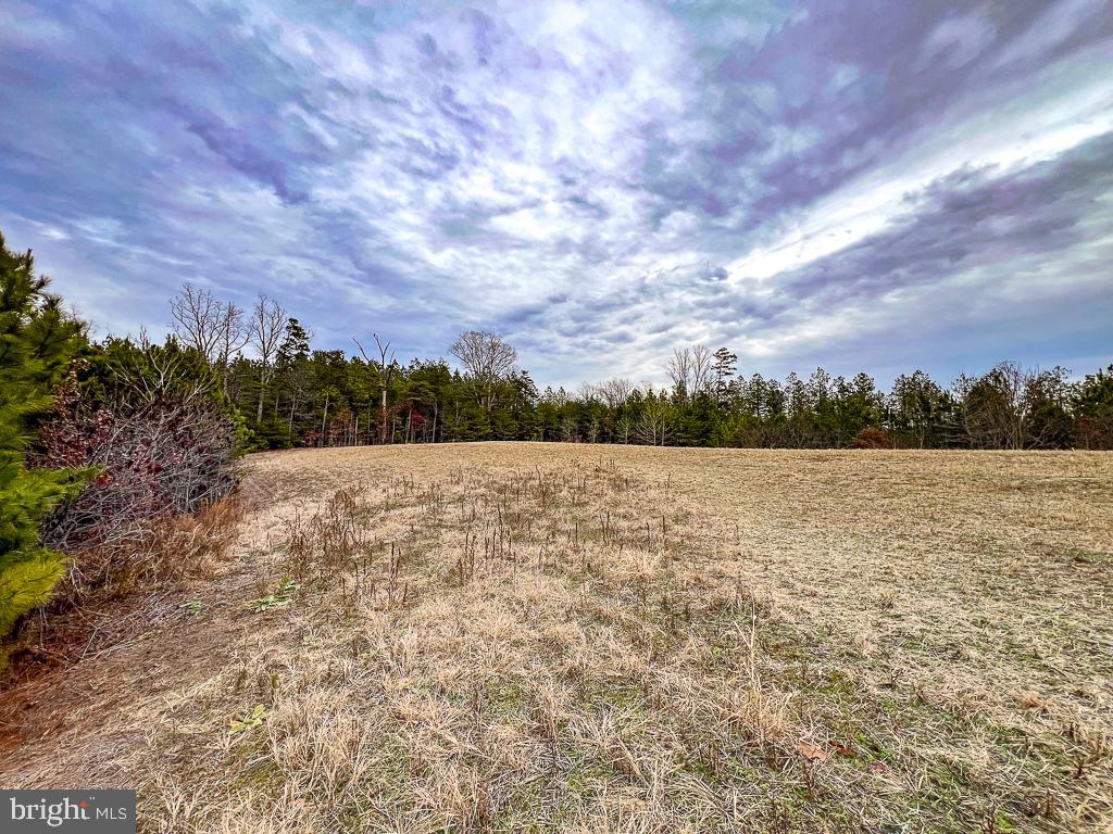 53.778 ACRES KIDDS FORK RD, MILFORD, Virginia 22514, ,Farm,For Sale,53.778 ACRES KIDDS FORK RD,VACV2009258 MLS # VACV2009258