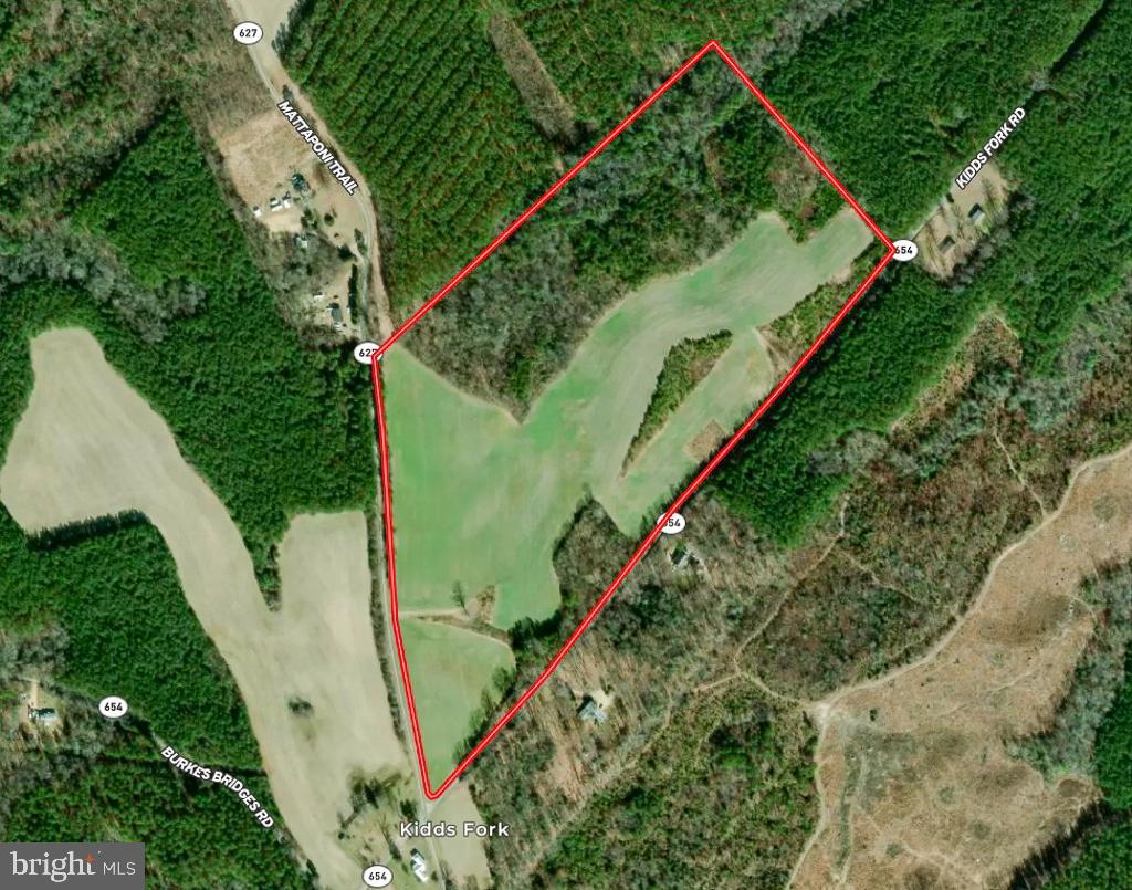 53.778 ACRES KIDDS FORK RD, MILFORD, Virginia 22514, ,Farm,For Sale,53.778 ACRES KIDDS FORK RD,VACV2009258 MLS # VACV2009258