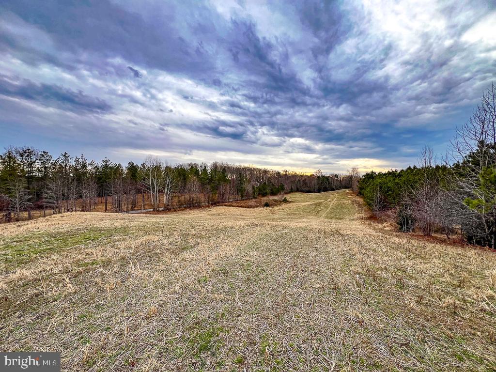 53.778 ACRES KIDDS FORK RD, MILFORD, Virginia 22514, ,Farm,For Sale,53.778 ACRES KIDDS FORK RD,VACV2009258 MLS # VACV2009258