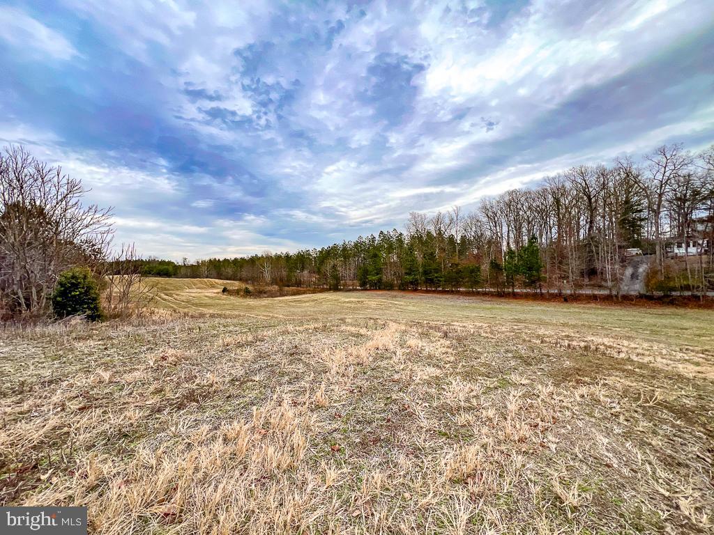 53.778 ACRES KIDDS FORK RD, MILFORD, Virginia 22514, ,Farm,For Sale,53.778 ACRES KIDDS FORK RD,VACV2009258 MLS # VACV2009258