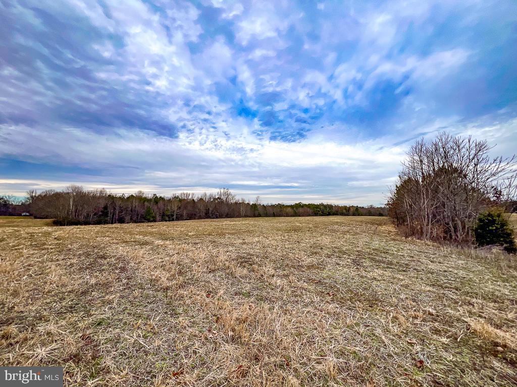 53.778 ACRES KIDDS FORK RD, MILFORD, Virginia 22514, ,Farm,For Sale,53.778 ACRES KIDDS FORK RD,VACV2009258 MLS # VACV2009258