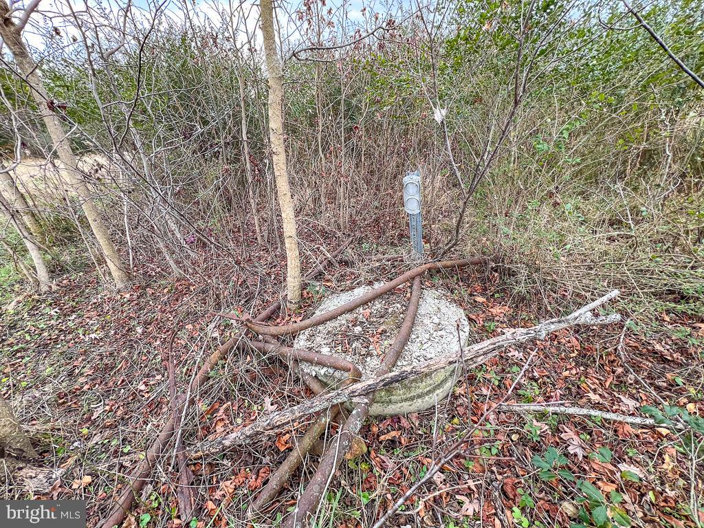 53.778 ACRES KIDDS FORK RD, MILFORD, Virginia 22514, ,Farm,For Sale,53.778 ACRES KIDDS FORK RD,VACV2009258 MLS # VACV2009258