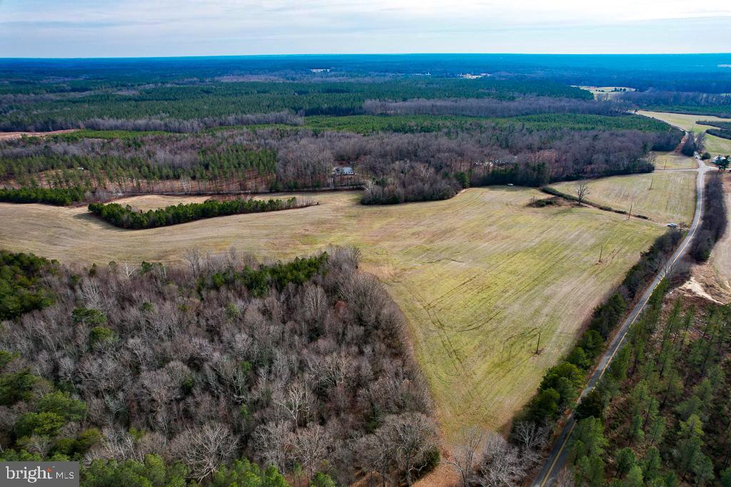 53.778 ACRES KIDDS FORK RD, MILFORD, Virginia 22514, ,Farm,For Sale,53.778 ACRES KIDDS FORK RD,VACV2009258 MLS # VACV2009258