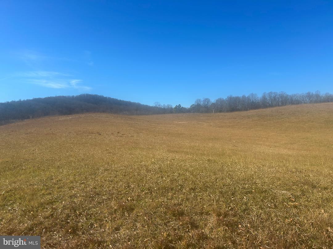 342 POES S, AMISSVILLE, Virginia 20106, 1 Bedroom Bedrooms, ,1 BathroomBathrooms,Residential,For Sale,342 POES S,VARP2002428 MLS # VARP2002428