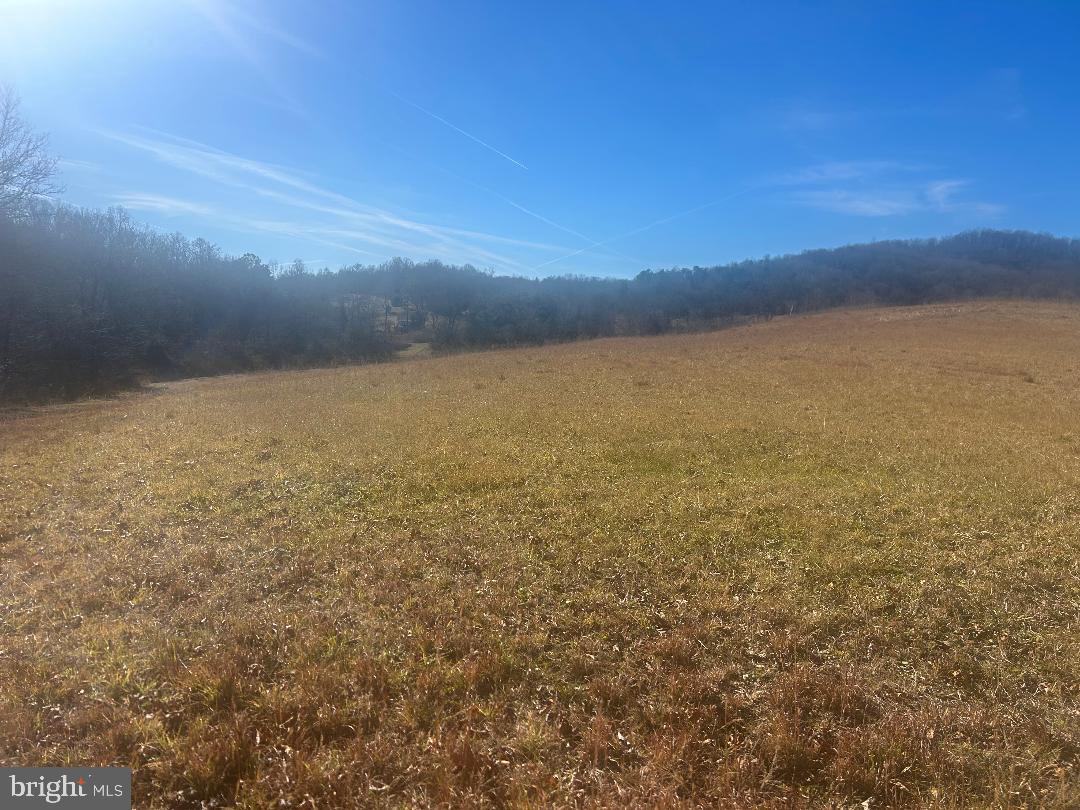 342 POES S, AMISSVILLE, Virginia 20106, 1 Bedroom Bedrooms, ,1 BathroomBathrooms,Residential,For Sale,342 POES S,VARP2002428 MLS # VARP2002428