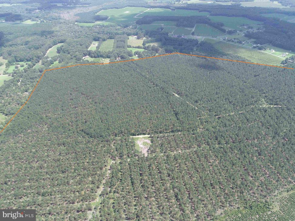 N LIBERTY SPRING RD (TRACT: CHES. BLOCK 4-61-119), SUFFOLK, Virginia 23432, ,Farm,For Sale,N LIBERTY SPRING RD (TRACT: CHES. BLOCK 4-61-119),VASF2000056 MLS # VASF2000056