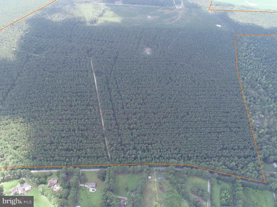 N LIBERTY SPRING RD (TRACT: CHES. BLOCK 4-61-119), SUFFOLK, Virginia 23432, ,Farm,For Sale,N LIBERTY SPRING RD (TRACT: CHES. BLOCK 4-61-119),VASF2000056 MLS # VASF2000056