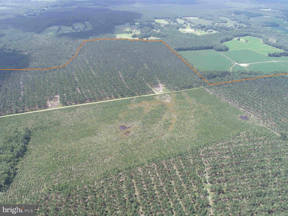 N LIBERTY SPRING RD (TRACT: CHES. BLOCK 4-61-119), SUFFOLK, Virginia 23432, ,Farm,For Sale,N LIBERTY SPRING RD (TRACT: CHES. BLOCK 4-61-119),VASF2000056 MLS # VASF2000056