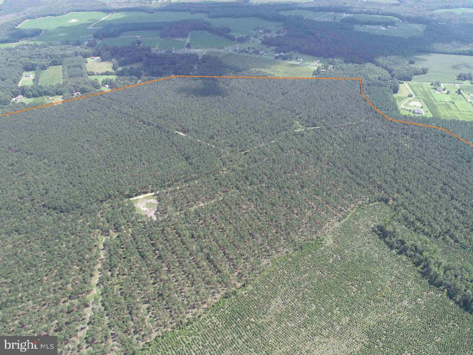 N LIBERTY SPRING RD (TRACT: CHES. BLOCK 4-61-119), SUFFOLK, Virginia 23432, ,Farm,For Sale,N LIBERTY SPRING RD (TRACT: CHES. BLOCK 4-61-119),VASF2000056 MLS # VASF2000056