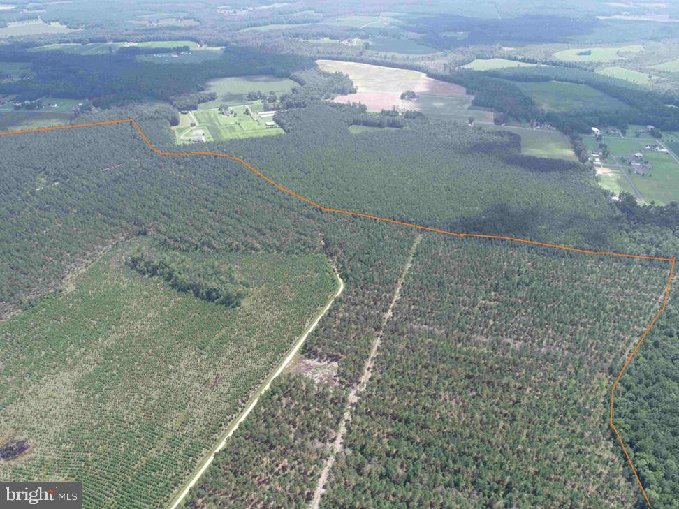 N LIBERTY SPRING RD (TRACT: CHES. BLOCK 4-61-119), SUFFOLK, Virginia 23432, ,Farm,For Sale,N LIBERTY SPRING RD (TRACT: CHES. BLOCK 4-61-119),VASF2000056 MLS # VASF2000056