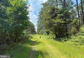 N LIBERTY SPRING RD (TRACT: CHES. BLOCK 4-61-119), SUFFOLK, Virginia 23432, ,Farm,For Sale,N LIBERTY SPRING RD (TRACT: CHES. BLOCK 4-61-119),VASF2000056 MLS # VASF2000056 N LIBERTY SPRING RD (TRACT: CHES. BLOCK 4-61-119), SUFFOLK, Virginia 23432, ,Farm,For Sale,N LIBERTY SPRING RD (TRACT: CHES. BLOCK 4-61-119),VASF2000056 MLS # VASF2000056