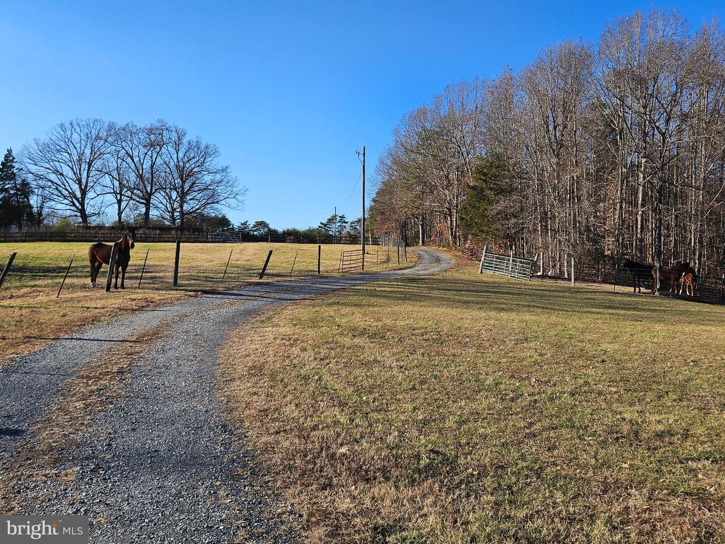 3814 S CONSTITUTION RTE, DILLWYN, Virginia 23936, 3 Bedrooms Bedrooms, 6 Rooms Rooms,1 BathroomBathrooms,Residential,For Sale,3814 S CONSTITUTION RTE,VABH2000250 MLS # VABH2000250