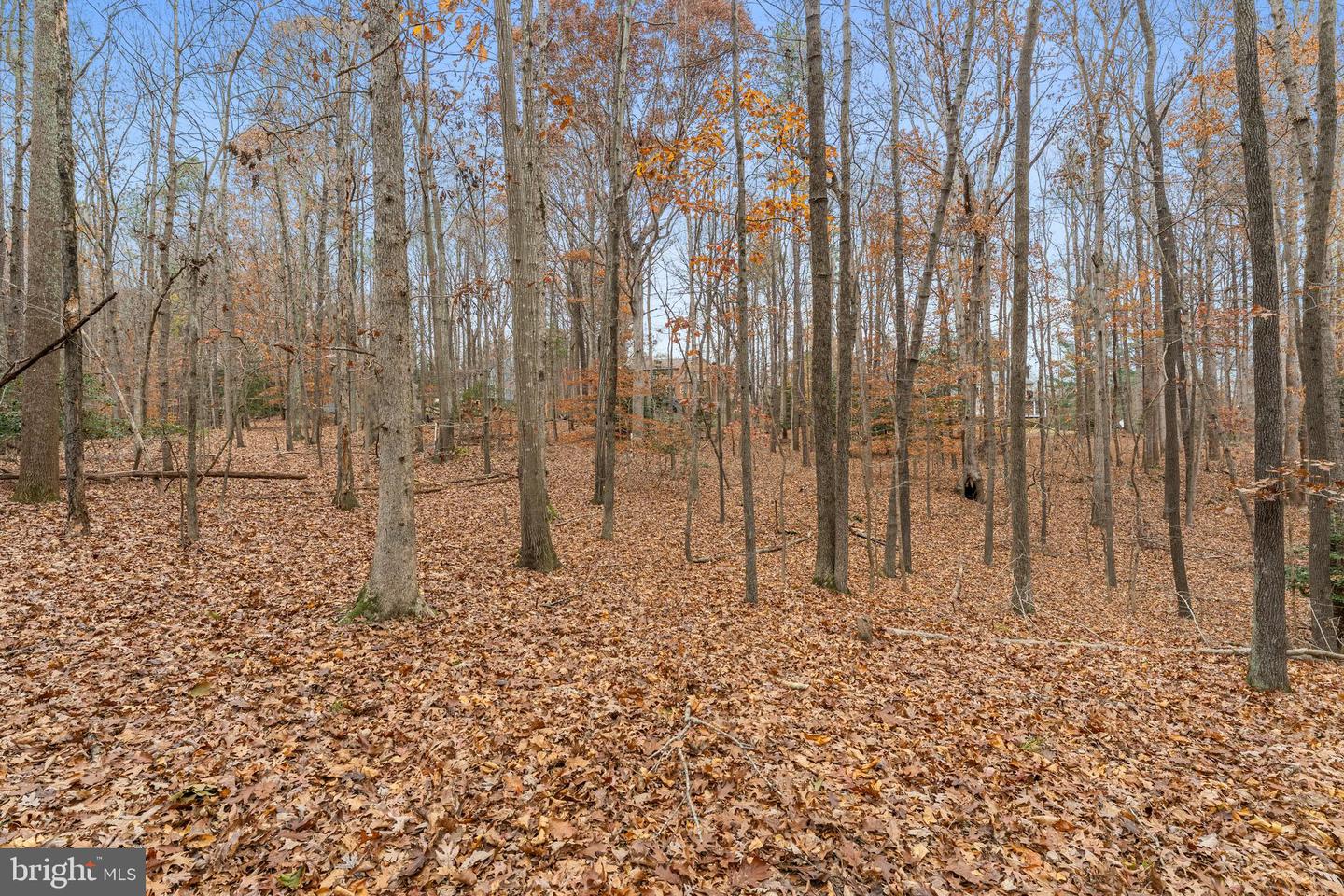 14429 FOX KNOLL DR, SOUTH CHESTERFIELD, Virginia 23834, 4 Bedrooms Bedrooms, ,2 BathroomsBathrooms,Residential,For Sale,14429 FOX KNOLL DR,VACF2001328 MLS # VACF2001328 14429 FOX KNOLL DR, SOUTH CHESTERFIELD, Virginia 23834, 4 Bedrooms Bedrooms, ,2 BathroomsBathrooms,Residential,For Sale,14429 FOX KNOLL DR,VACF2001328 MLS # VACF2001328