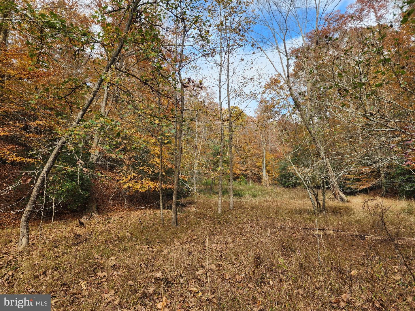 14429 FOX KNOLL DR, SOUTH CHESTERFIELD, Virginia 23834, 4 Bedrooms Bedrooms, ,2 BathroomsBathrooms,Residential,For Sale,14429 FOX KNOLL DR,VACF2001328 MLS # VACF2001328 14429 FOX KNOLL DR, SOUTH CHESTERFIELD, Virginia 23834, 4 Bedrooms Bedrooms, ,2 BathroomsBathrooms,Residential,For Sale,14429 FOX KNOLL DR,VACF2001328 MLS # VACF2001328