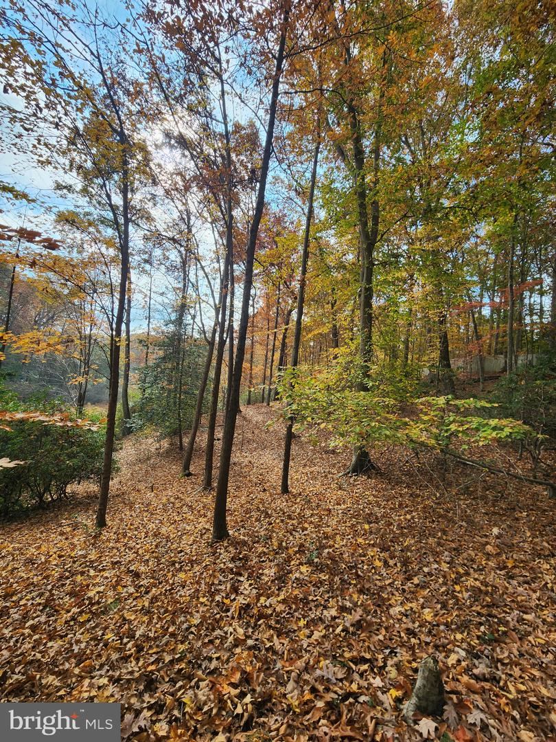 14429 FOX KNOLL DR, SOUTH CHESTERFIELD, Virginia 23834, 4 Bedrooms Bedrooms, ,2 BathroomsBathrooms,Residential,For Sale,14429 FOX KNOLL DR,VACF2001328 MLS # VACF2001328 14429 FOX KNOLL DR, SOUTH CHESTERFIELD, Virginia 23834, 4 Bedrooms Bedrooms, ,2 BathroomsBathrooms,Residential,For Sale,14429 FOX KNOLL DR,VACF2001328 MLS # VACF2001328