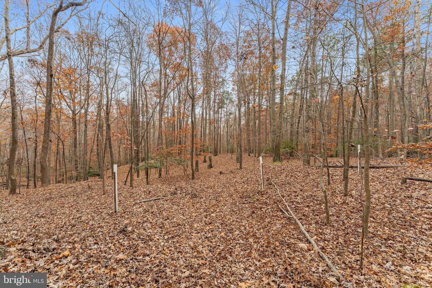 14429 FOX KNOLL DR, SOUTH CHESTERFIELD, Virginia 23834, 4 Bedrooms Bedrooms, ,2 BathroomsBathrooms,Residential,For Sale,14429 FOX KNOLL DR,VACF2001328 MLS # VACF2001328 14429 FOX KNOLL DR, SOUTH CHESTERFIELD, Virginia 23834, 4 Bedrooms Bedrooms, ,2 BathroomsBathrooms,Residential,For Sale,14429 FOX KNOLL DR,VACF2001328 MLS # VACF2001328