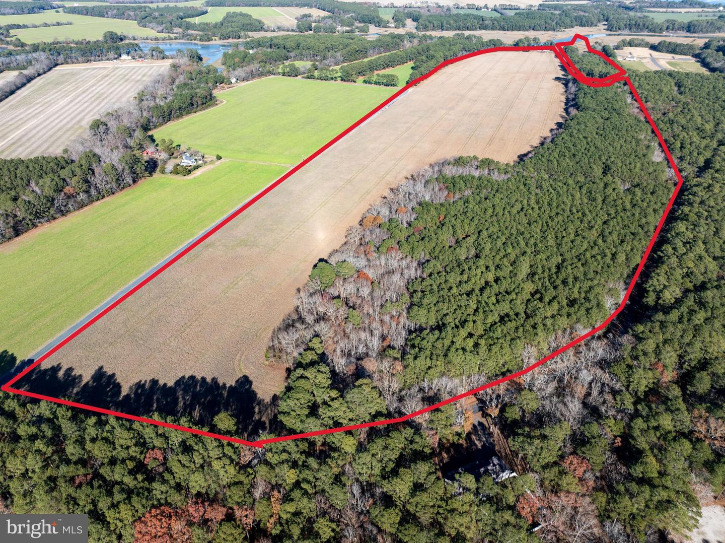 FOLLY CREEK RD, ACCOMAC, Virginia 23301, ,Farm,For Sale,FOLLY CREEK RD,VAAC2002456 MLS # VAAC2002456
