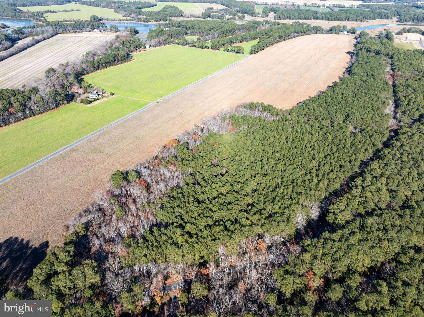 FOLLY CREEK RD, ACCOMAC, Virginia 23301, ,Farm,For Sale,FOLLY CREEK RD,VAAC2002456 MLS # VAAC2002456