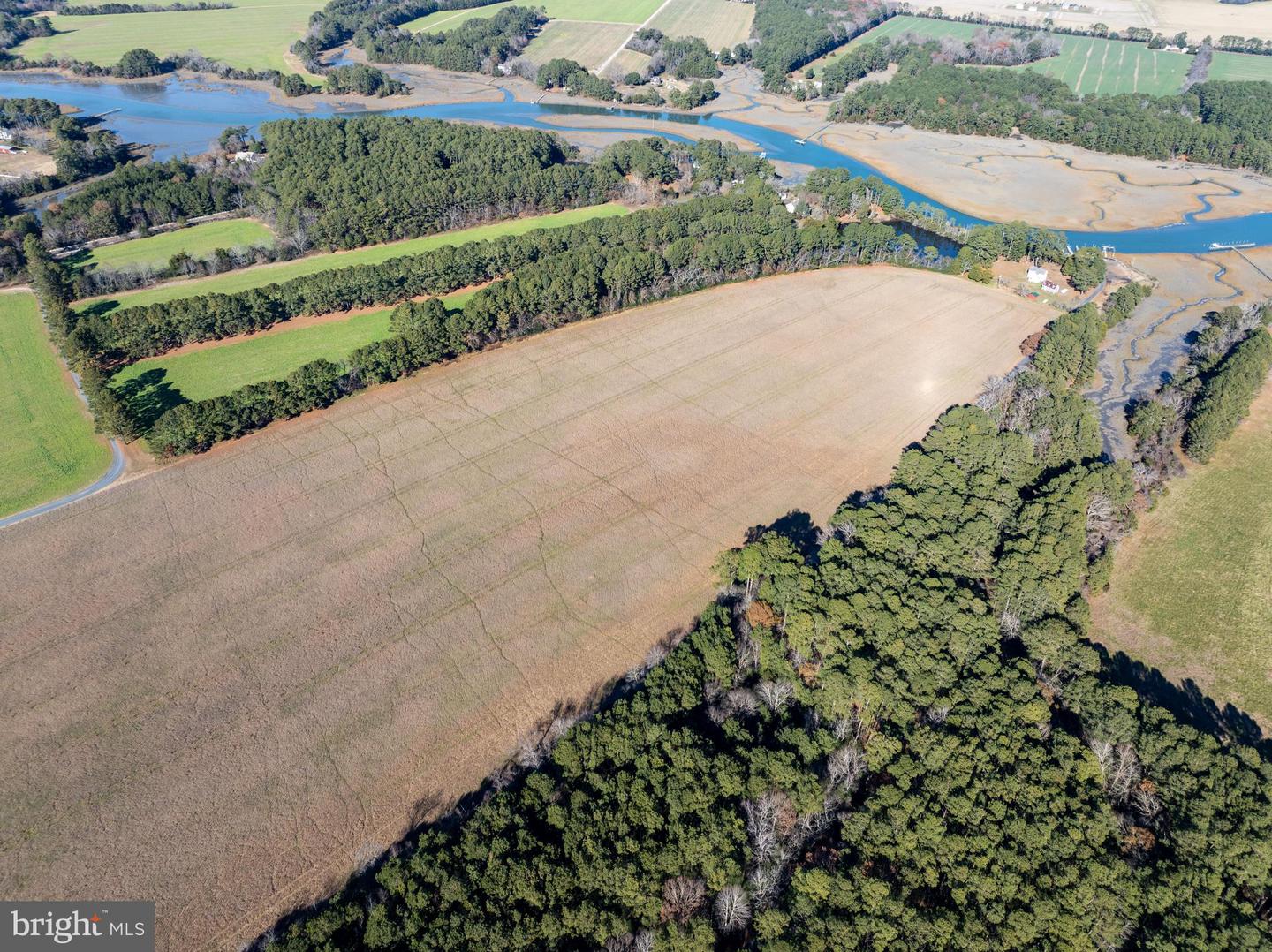 FOLLY CREEK RD, ACCOMAC, Virginia 23301, ,Farm,For Sale,FOLLY CREEK RD,VAAC2002456 MLS # VAAC2002456