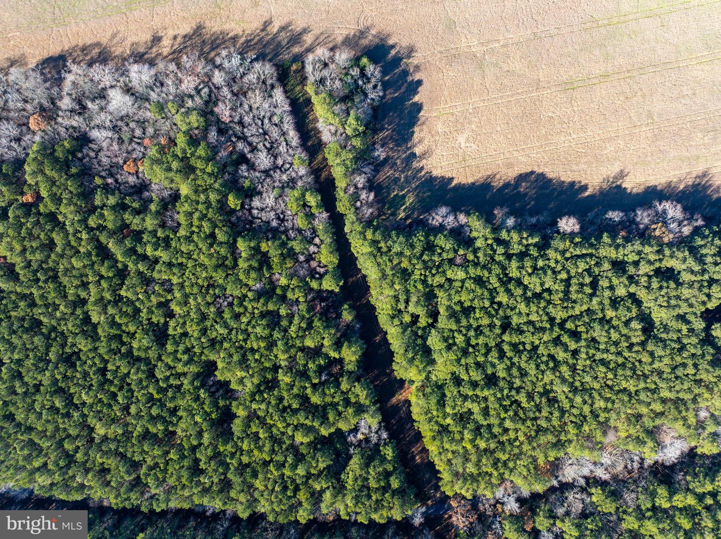 FOLLY CREEK RD, ACCOMAC, Virginia 23301, ,Farm,For Sale,FOLLY CREEK RD,VAAC2002456 MLS # VAAC2002456