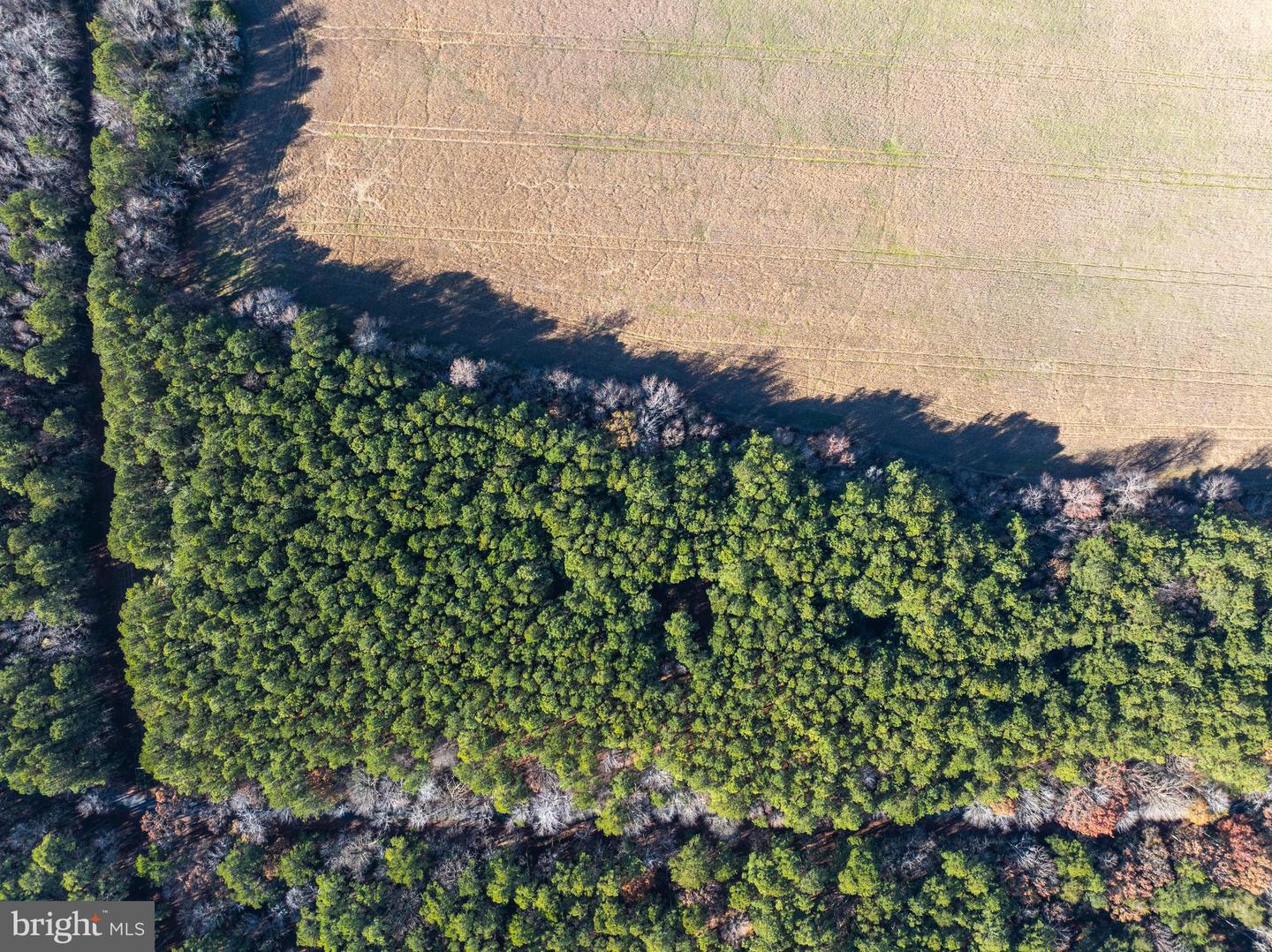 FOLLY CREEK RD, ACCOMAC, Virginia 23301, ,Farm,For Sale,FOLLY CREEK RD,VAAC2002456 MLS # VAAC2002456