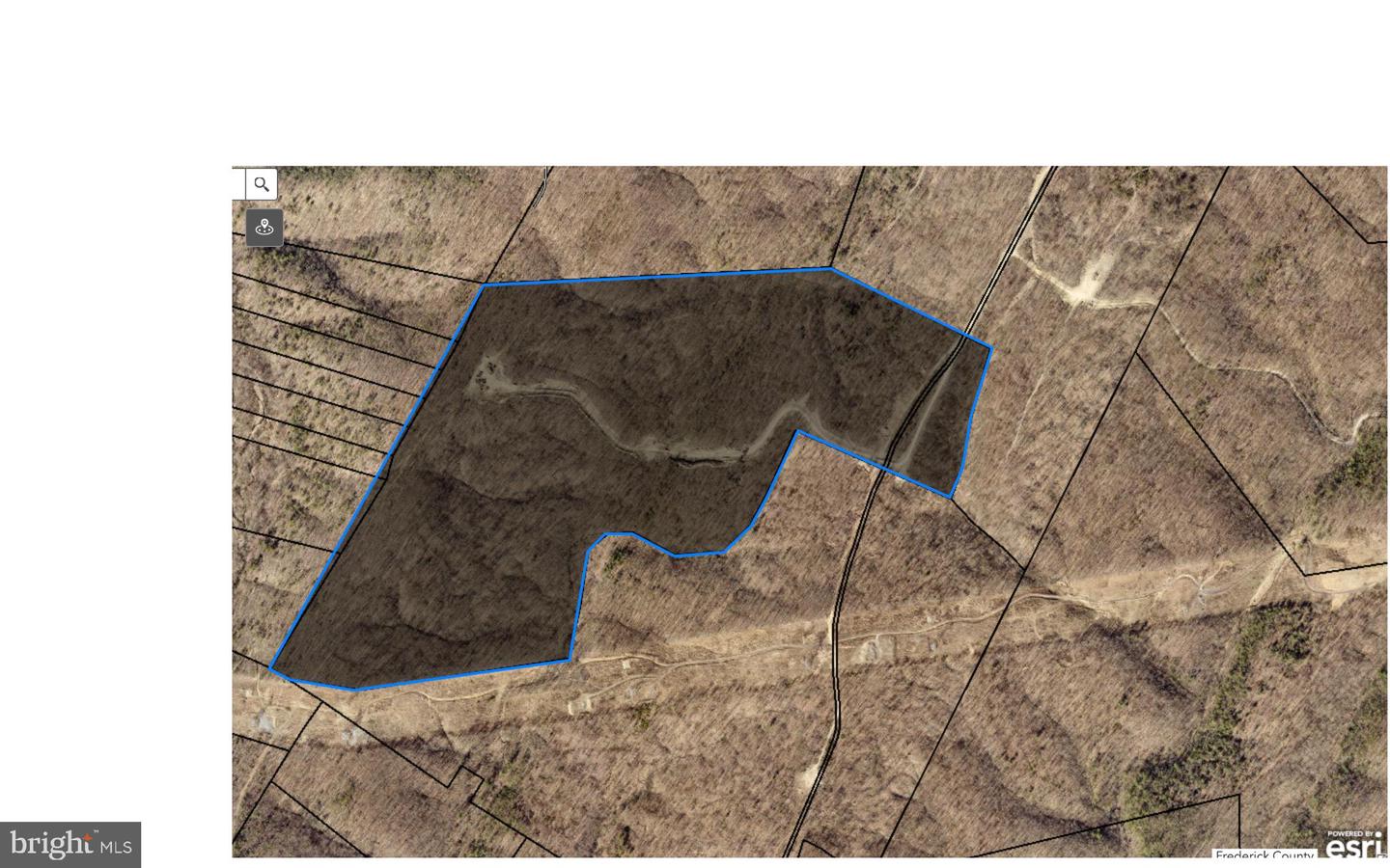 152.44 ACRES LOT 2 LAUREL GROVE RD, WINCHESTER, Virginia 22602, ,Farm,For Sale,152.44 ACRES LOT 2 LAUREL GROVE RD,VAFV2038448 MLS # VAFV2038448