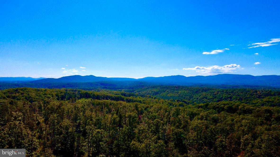 152.44 ACRES LOT 2 LAUREL GROVE RD, WINCHESTER, Virginia 22602, ,Farm,For Sale,152.44 ACRES LOT 2 LAUREL GROVE RD,VAFV2038448 MLS # VAFV2038448