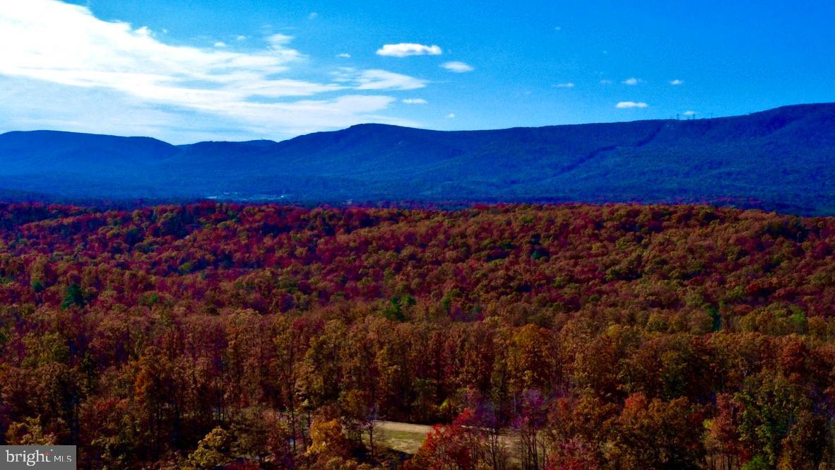 152.44 ACRES LOT 2 LAUREL GROVE RD, WINCHESTER, Virginia 22602, ,Farm,For Sale,152.44 ACRES LOT 2 LAUREL GROVE RD,VAFV2038448 MLS # VAFV2038448