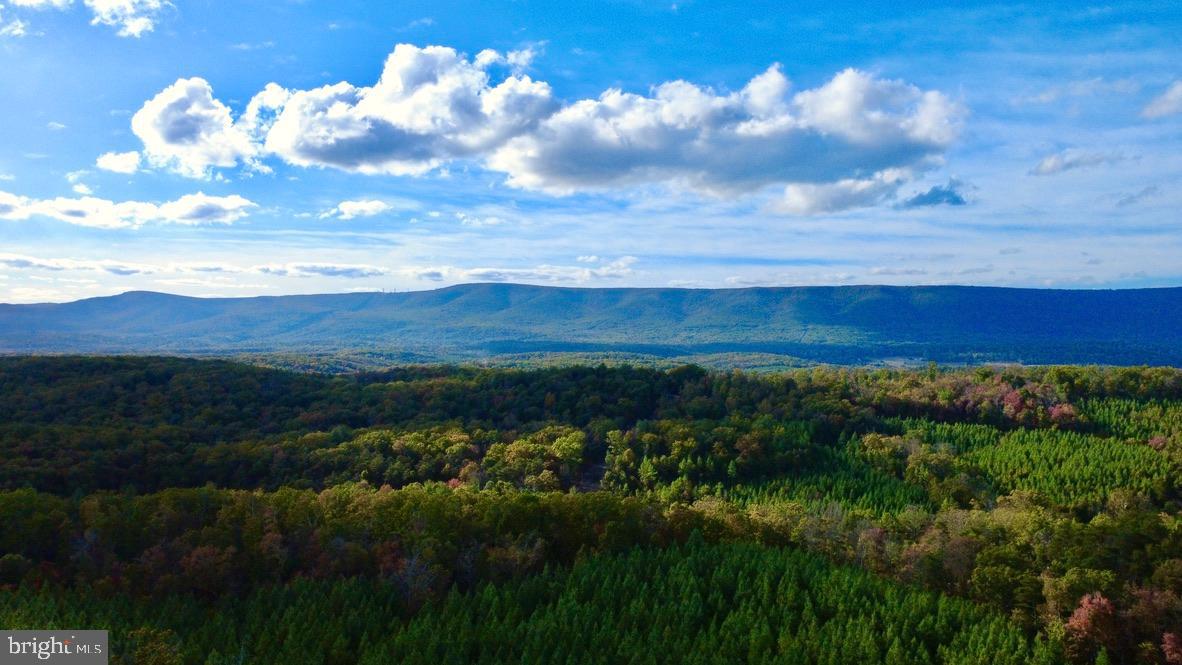 152.44 ACRES LOT 2 LAUREL GROVE RD, WINCHESTER, Virginia 22602, ,Farm,For Sale,152.44 ACRES LOT 2 LAUREL GROVE RD,VAFV2038448 MLS # VAFV2038448