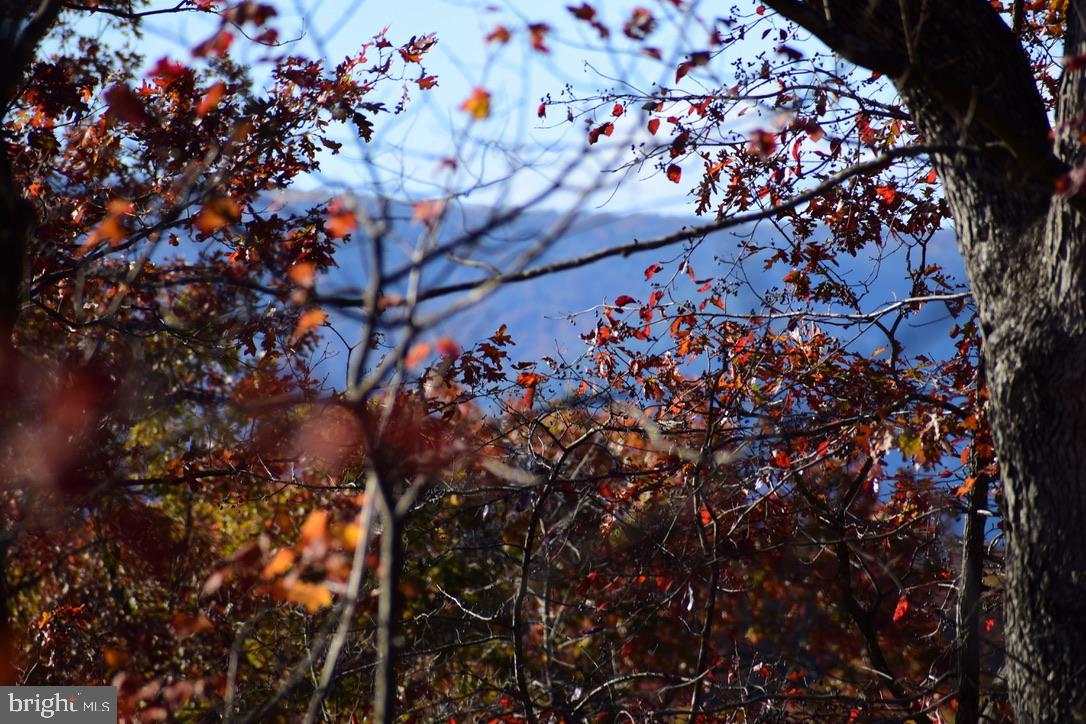 152.44 ACRES LOT 2 LAUREL GROVE RD, WINCHESTER, Virginia 22602, ,Farm,For Sale,152.44 ACRES LOT 2 LAUREL GROVE RD,VAFV2038448 MLS # VAFV2038448