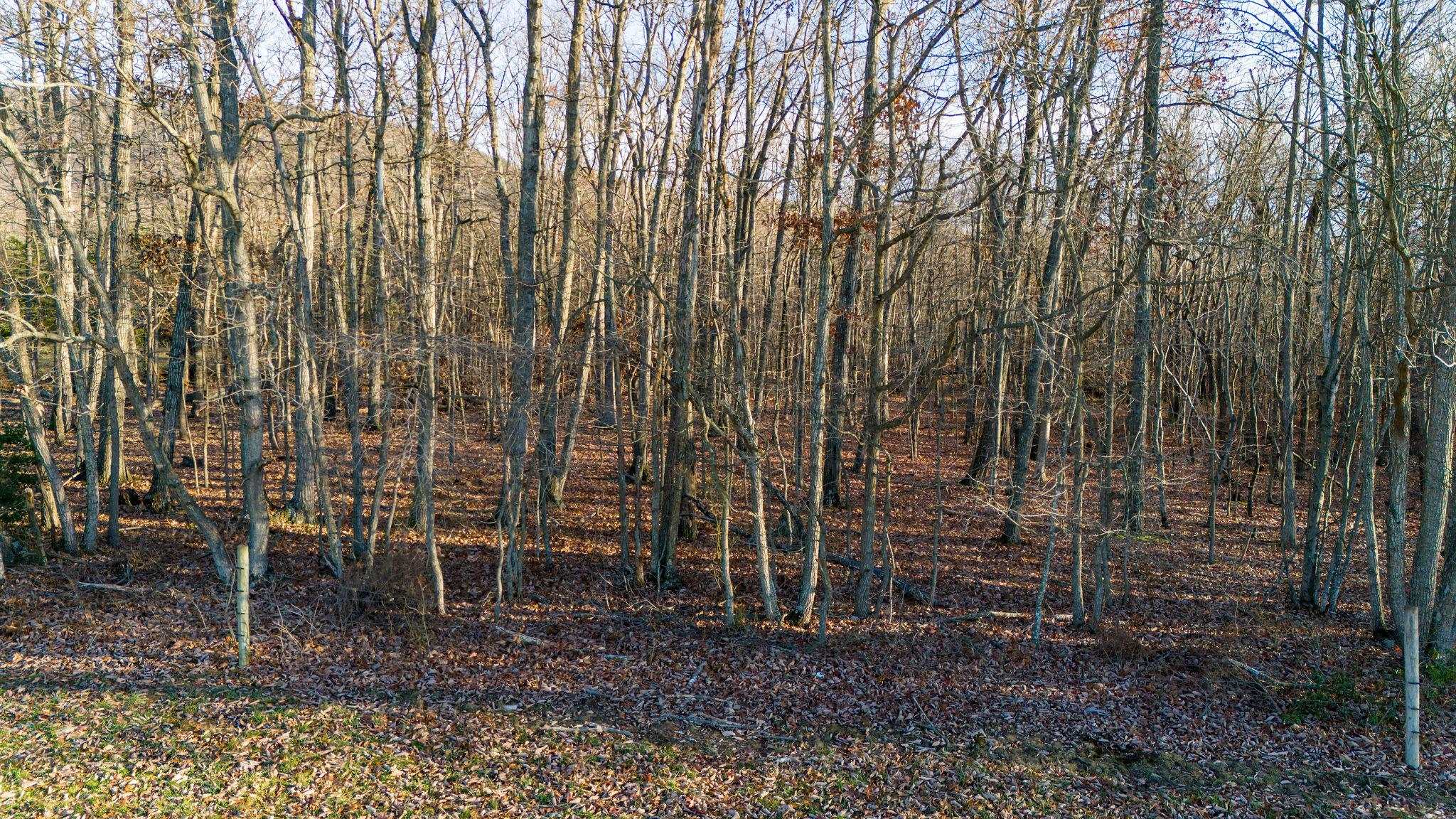 TBD ROCK MOUNTAIN LN, GROTTOES, Virginia 24441, ,Land,14,TBD ROCK MOUNTAIN LN,659520 MLS # 659520